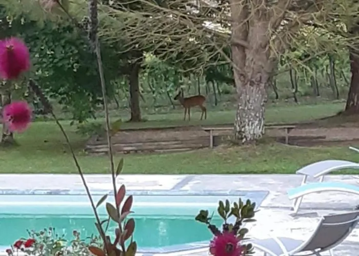 La Belle Echappée * Champagnac (Charente-Maritime)